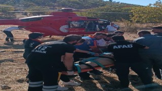 Meyve toplarken ağaçtan düştü, ambulans helikopterle hastaneye sevk edildi