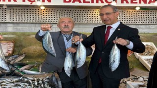 Milletvekili Abdürrahim Dusak mumya balıkları inceledi