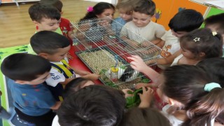 Miniklere Hayvan Sevgisi Anlatıldı