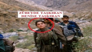 MİT ve Emniyetten PKK/KCKnın Avrupa yapılanmasına ortak operasyon