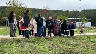 Mor yapraklı, kırmızı lifli safranı görmek için tarlalara akın ediyorlar