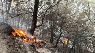 Muğla Gökova Körfezinde orman yangını