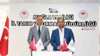 Muğlada 5 bin büyükbaş hayvan aşılanacak