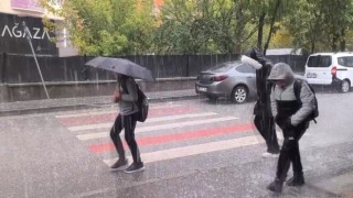 Muşta dolu yağışı etkili oldu