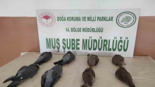 Muşta keklik avlayan 2 kişiye 42 bin 946 TL para cezası
