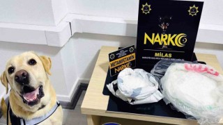 Narkotik köpeği ‘Çiko affetmiyor