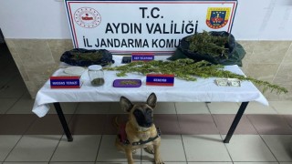 Nazillide uyuşturucu operasyonu: 1 gözaltı