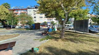 Nazillide yeşil alan çalışmalarına hız verildi