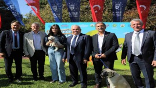 Nilüferde can dostlar yeni yuvalarına kavuşuyor