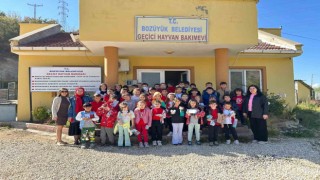 Öğrenciler sokak hayvanlarını yalnız bırakmadı