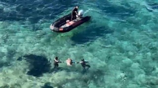 Ölü olarak bulunan caretta, dalgıçlar tarafından karaya çıkarıldı