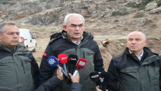 Orman Genel Müdürü Karacabey: “Yangın bölgesindeki ağaçların yüzde 90ı hayatına devam edecek”