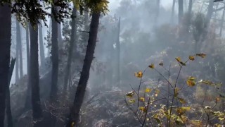 Orman yangınına müdahale çevre illerden destekle devam ediyor