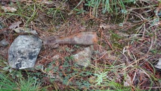 Ormanda küflenmiş ve patlamamış halde havan topu mermisi bulundu