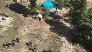 Ormanlık alanda uyuşturucu yetiştiren şüpheliler suçüstü yakalandı