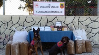 Osmaniye Jandarması Başarılı Operasyonlarını Sürdürüyor