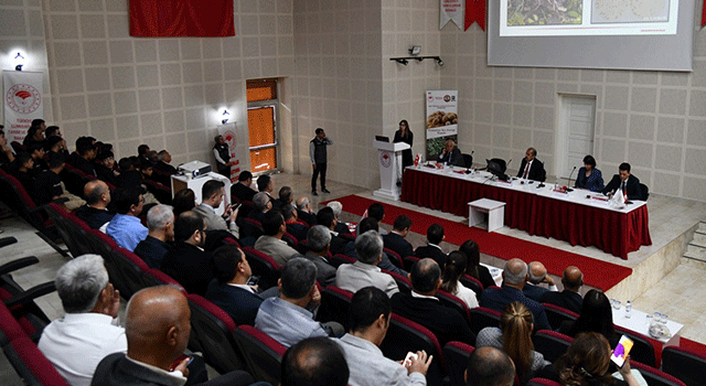 Osmaniye Yer Fıstığı İçin Kamu, Özel Sektör ve Üniversitelere İşbirliği Çağrısı