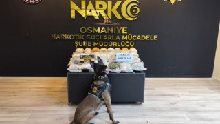 Osmaniye'de 33 Kilo Skunk Ele Geçirildi: İki Şüpheli Tutuklandı