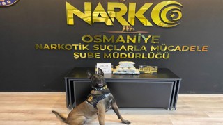 Osmaniye’de Çok Sayıda Uyuşturucu Yakalandı