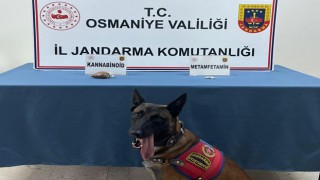 Osmaniye'de Uyuşturucu Operasyonu: 1 Kişi Tutuklandı