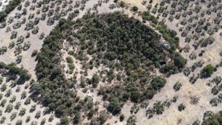 (Özel) 2 bin 400 yıllık tiyatro