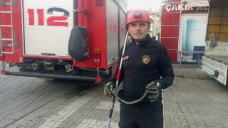 Park halinde minibüse giren yılan, itfaiyenin müdahalesiyle çıkarıldı