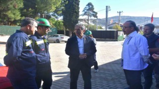 Patili canlar Gemlik Belediyesinin koruma altında