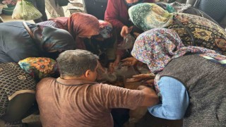 Pazarda mantar izdihamı
