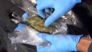 Polisten uyuşturucuya büyük darbe, 73 kilo skunk maddesi ele geçirildi