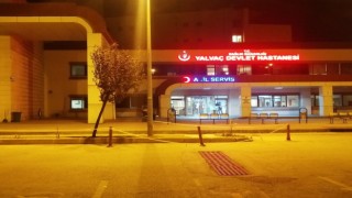 Pompalı tüfeği temizlerken abisini yaraladı