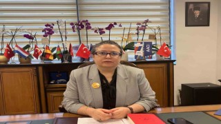 Prof. Dr. Hülya Ensari: “Madde kullanım bozuklukları, şiddet olaylarını artırıyor”