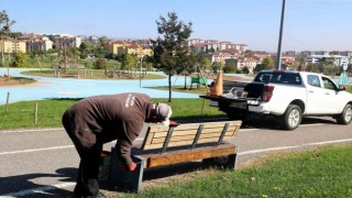 Sakarya Büyükşehirden şehrin dört bir yanına sonbahar dokunuşu