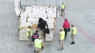 Saman balyası yüklü tırdaki zulada 36 düzensiz göçmen yakalandı