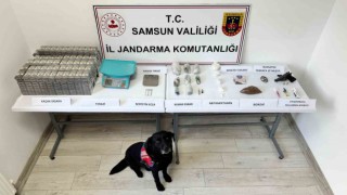 Samsunda jandarma ekipleri çok sayıda uyuşturucu madde ele geçirdi