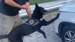 Samsunda narkotik dedektör köpeği 1 kilo metamfetamini buldu