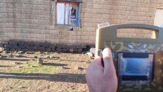 Şanlıurfada kaçakçılık operasyonuna 7 gözaltı