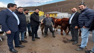 Sarıkamış Belediye Başkanı Serdar Kılıç, Hayvan Pazarında incelemelerde bulundu