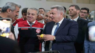 Satsuma mandalinası Balkanlar ve Avrupa yolunda
