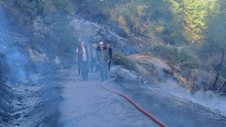 Savrun Ormanı'nda Çıkan Yangın Hızlı Müdahale ile Kontrol Altına Alındı
