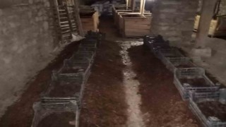 Şehir hayatından sıkıldı Çemişgezeke yerleşip milyonlarca solucanla organik gübre üretmeye başladı