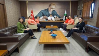 Şehitkamilli sporculardan uluslararası başarı
