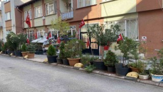 Sevgililer Aşıklar Parkı renkli görüntüsüyle dikkat çekiyor