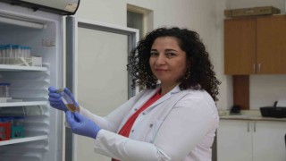 Şifa kaynağı Çördük, azı yarar, fazlası zarar