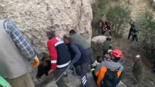 Siirtte çukurda mahsur kalan inekler kurtarıldı