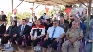 Siirtte ‘Fıstık Festivali kapsamında fıstık hasadı yapıldı