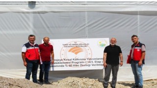 Simava jeotermal ısıtmalı 20 dekar modern sera