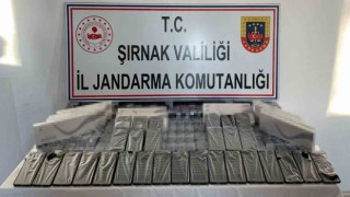 Şırnakta jandarma ekipleri 6 milyon 200 bin TLlik kaçakçılığı önlendi