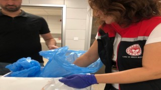 Söke 1 ayda 15 ülkeye ihracat yapıldı