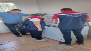 Sökede 1 ayda 173 gıda işletmesi denetlendi