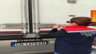 Sökede 3 tır işlenmiş balığa ihraç edilmek üzere ön sağlık sertifikası düzenlendi